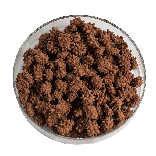 Grains de café, chocolat fondant 